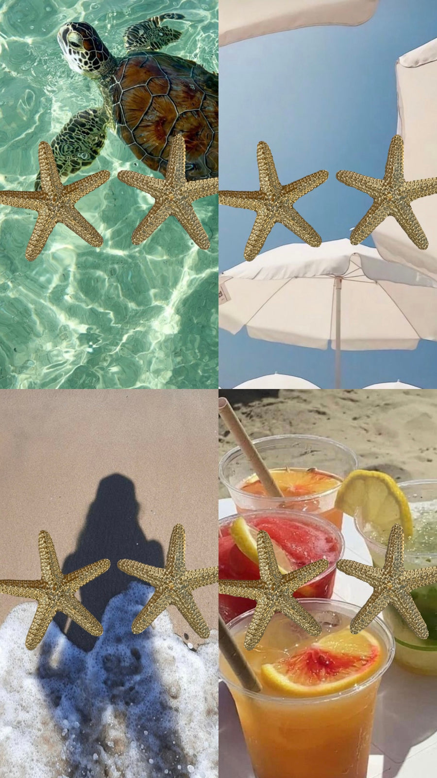 Brincos Golden Starfish
