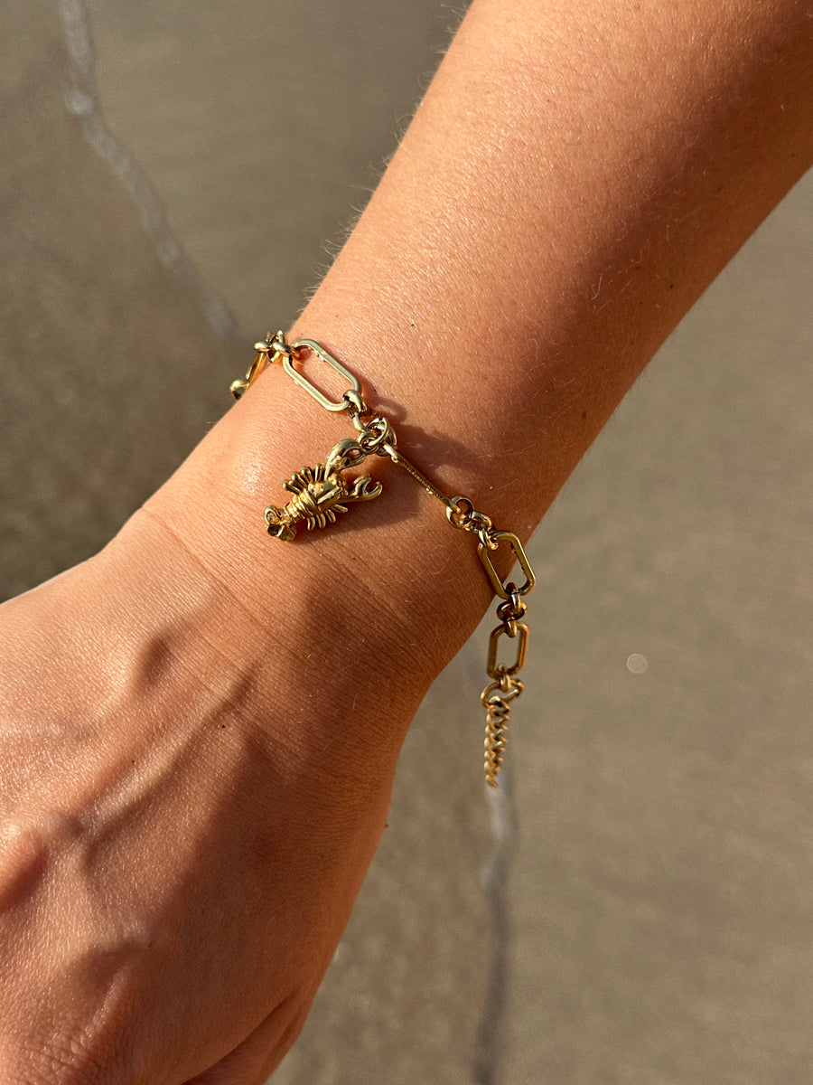 Pulseira Lagosta 🦞